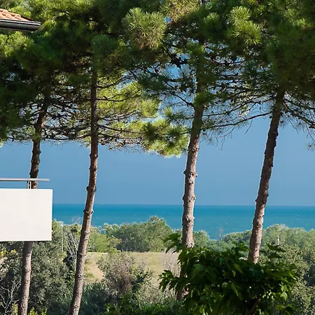 Bea&berto - - 3* Trebbiantico